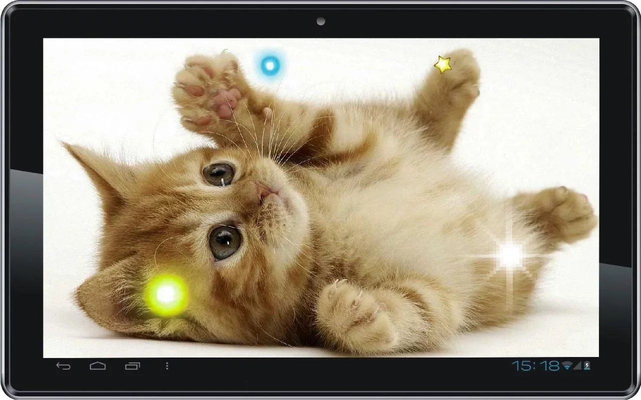 Kitty Gallery HD Photo L...截图3