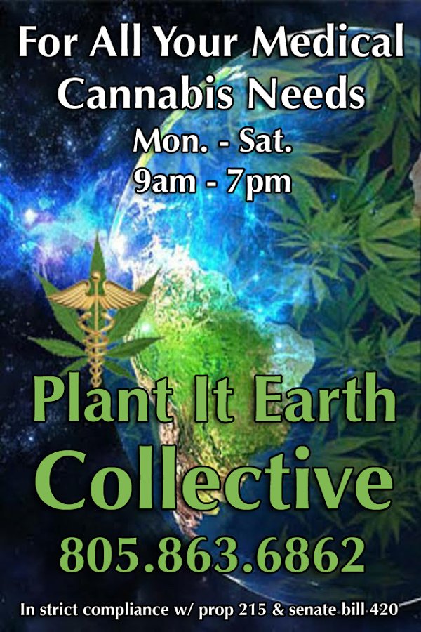 Plant It Earth截图3