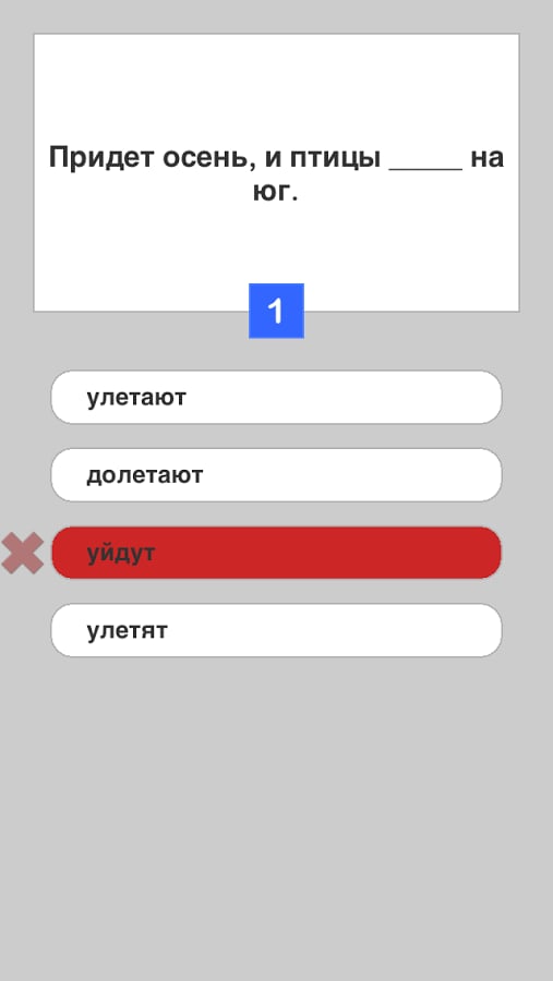 Russian Test Lite截图6