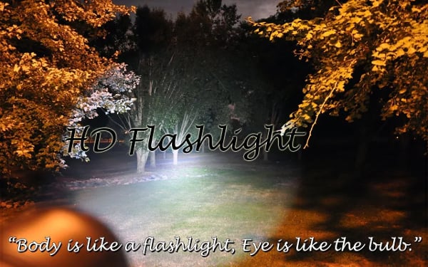 Next HD Flash Light Free截图2