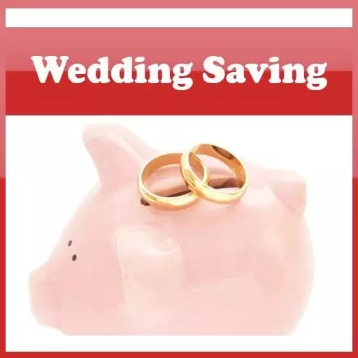 Wedding Savings Tips Gui...截图2