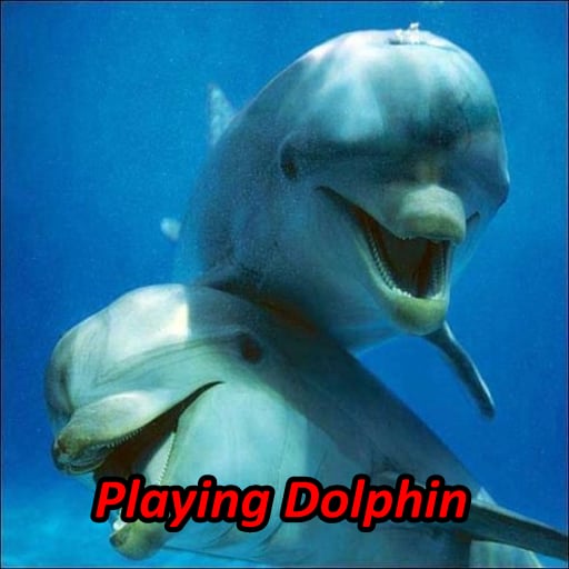 Dolphin Soundboards截图3