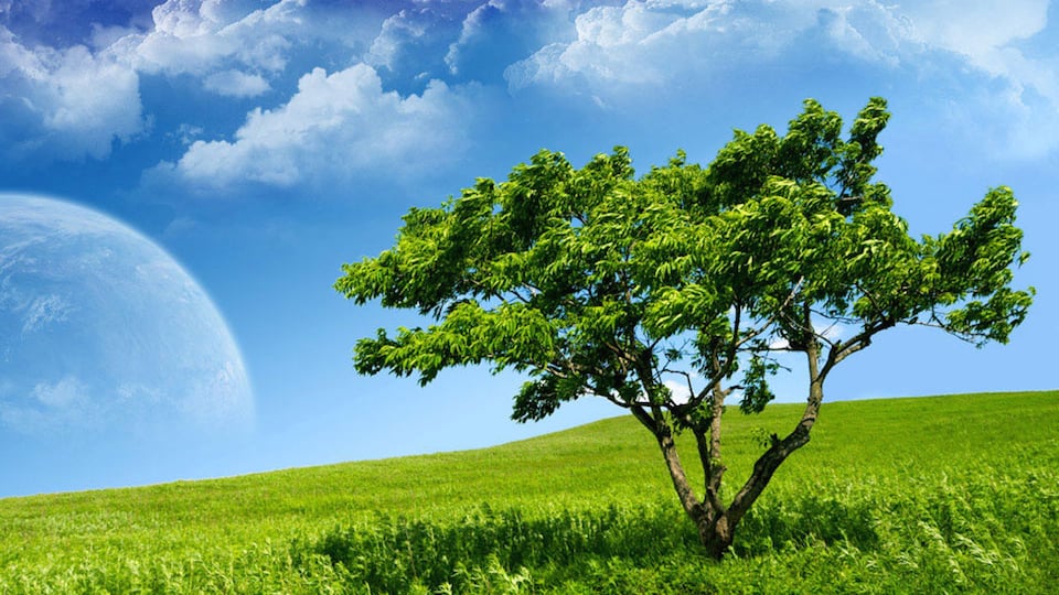 Nature Backgrounds HD截图3