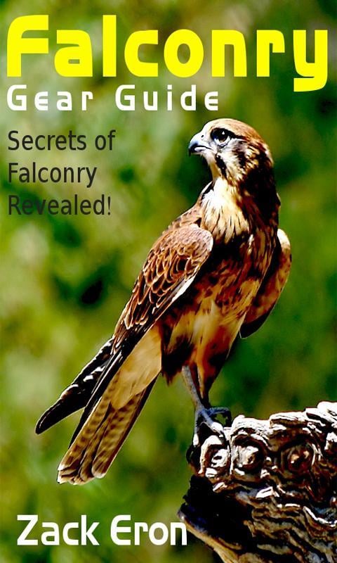 Falconry Gear Guide截图2