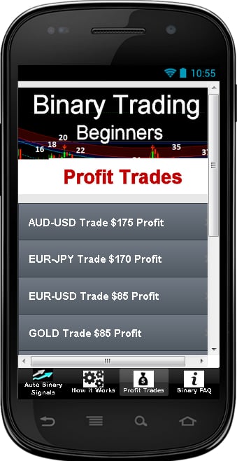 Binary Trading Beginners截图4