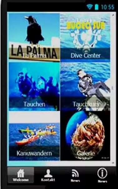 Dive La Palma截图4