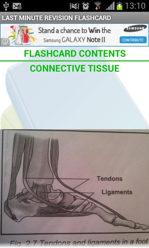 Last Minute Revision Flashcard截图5