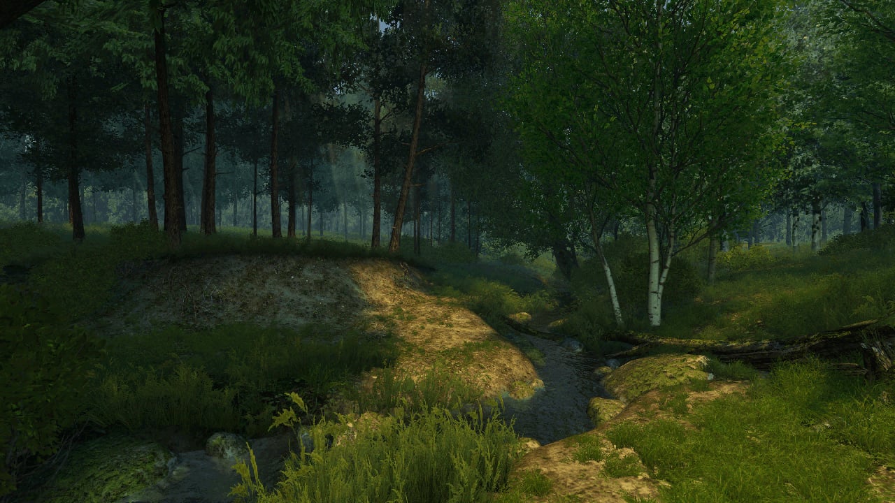 3D Summer Forest截图8