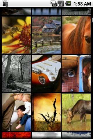 Picture Puzzle Of The Day截图6