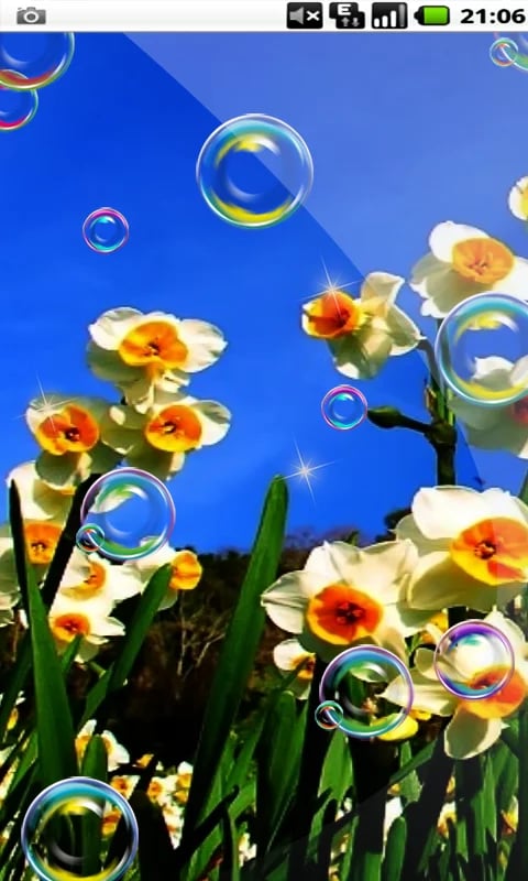 Spring Moves Bubble HD L...截图1