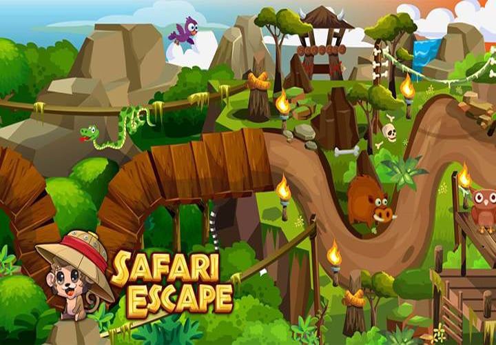 Safari Escape Solutions截图2