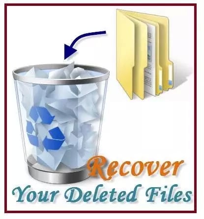 Recover Lost Data Instru...截图3