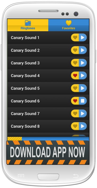 Canary Bird Sound Tone截图1