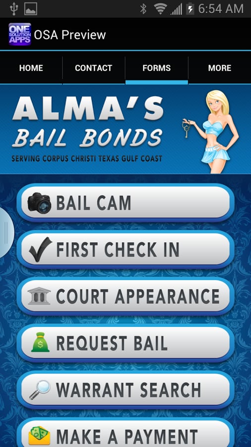 Almas Bail Buster截图4