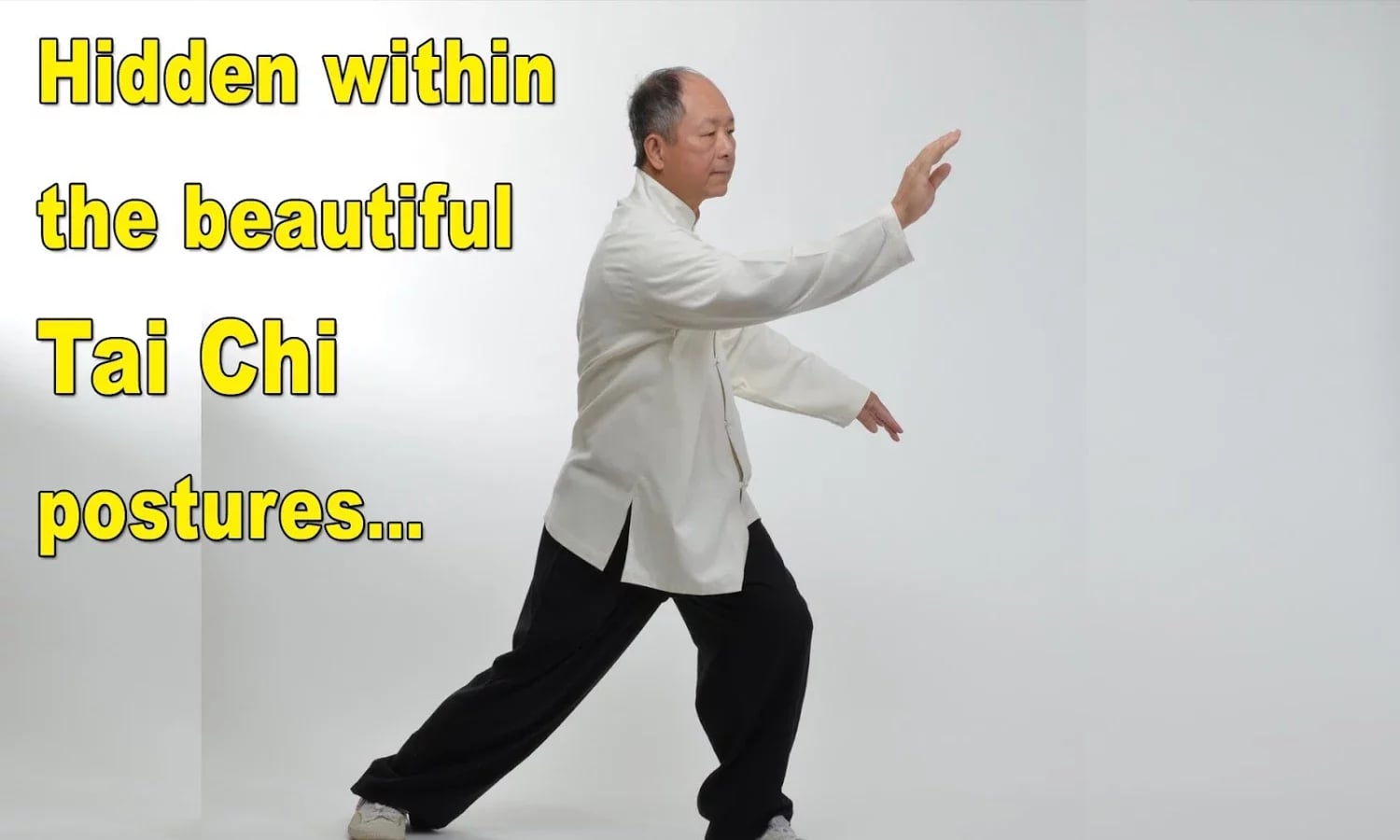 Tai Chi Martial Applicat...截图4