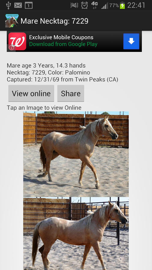 BLM Mustang Adoption Gallery截图2