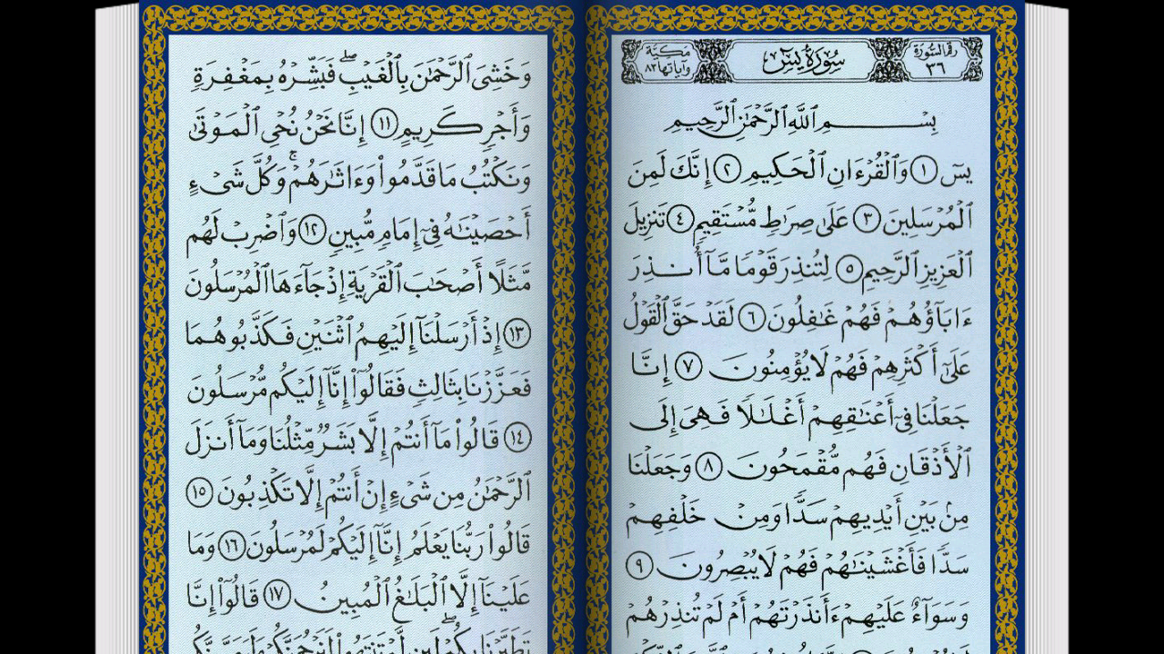 Surah Yasin & Tahlil Arwah截图5