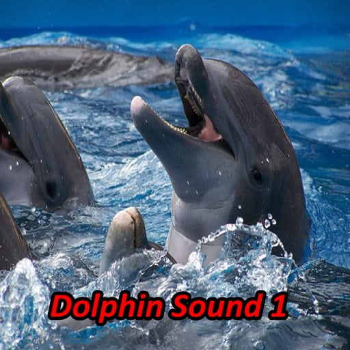 Dolphin Soundboards截图4