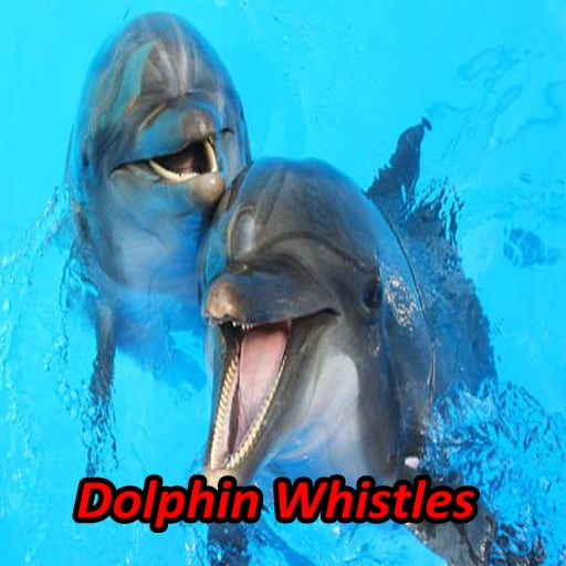 Dolphin Soundboards截图5