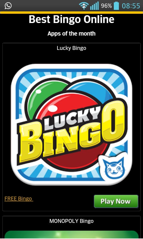 Bingo Online截图1