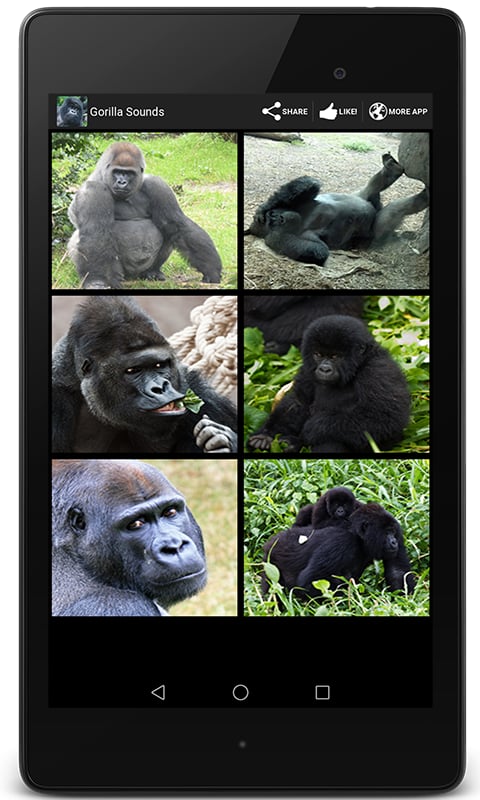 Gorilla Sounds截图1