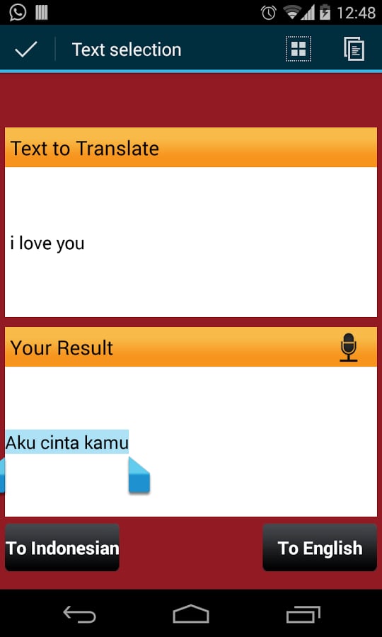 Indonesian English Translator截图4