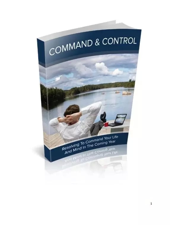 Command And Control截图3