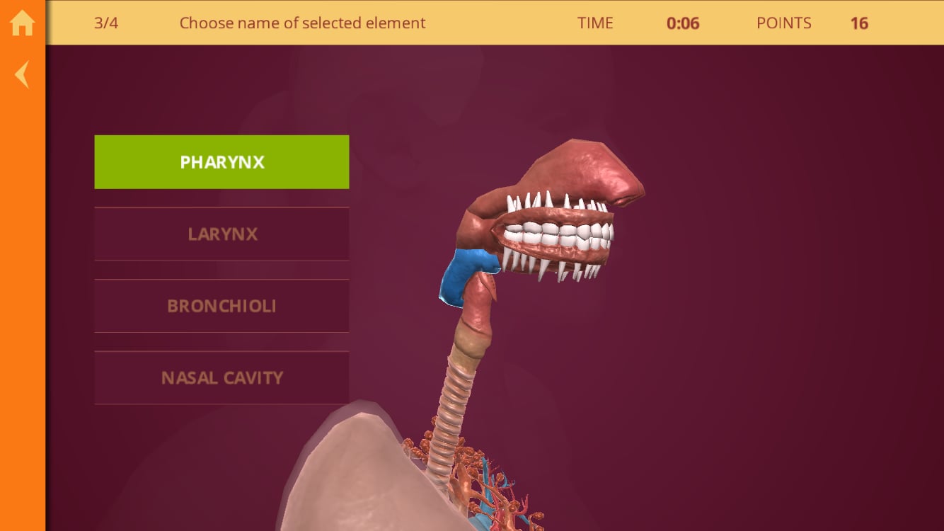 Anatomy - The Human Body截图10