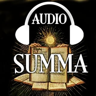 Audio Summa-Pars Prima (...截图1