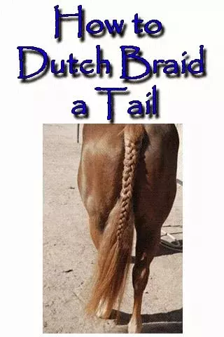 Dutch Braid a Horse Tail截图1