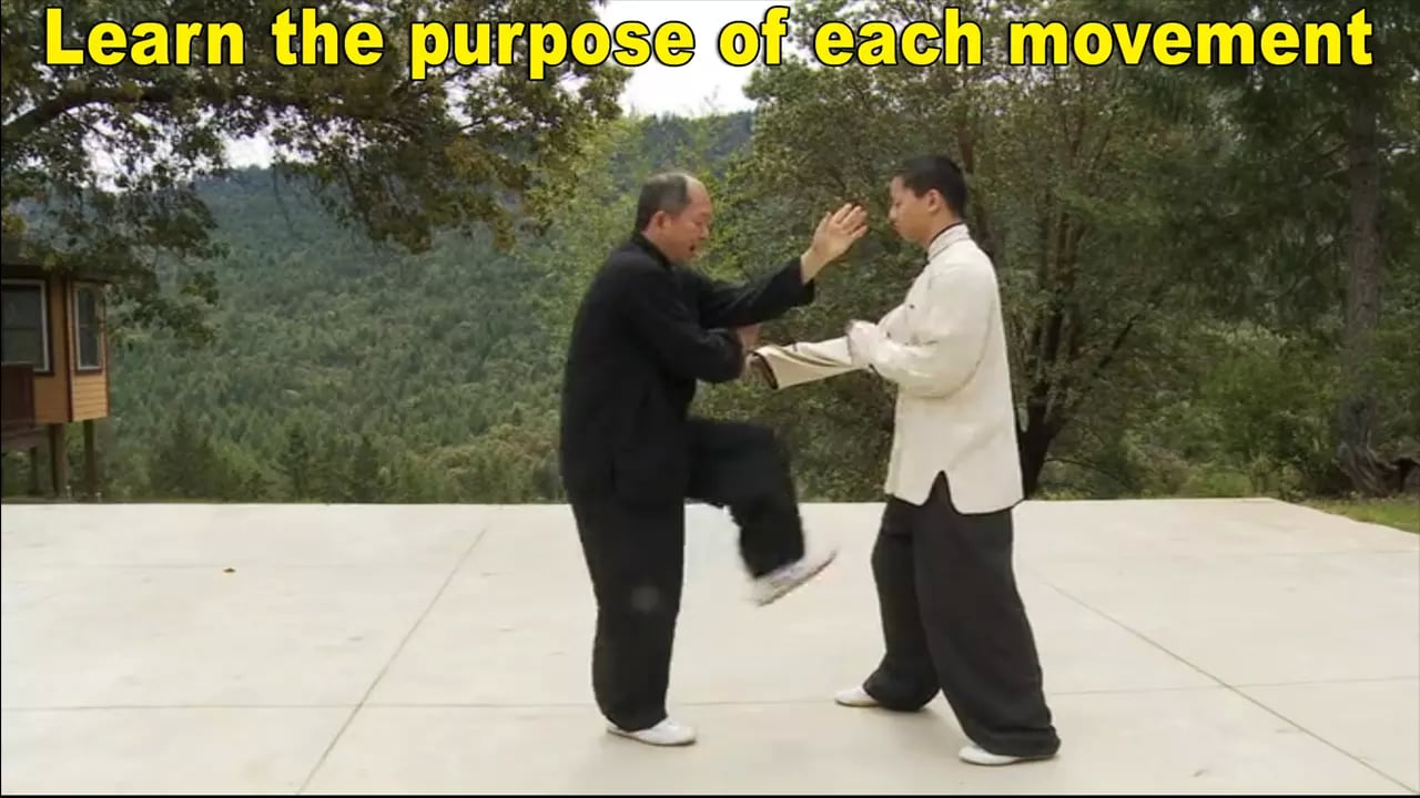 Yang Tai Chi for Beginne...截图7