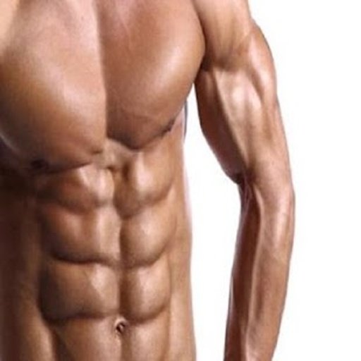 FLATTEN ABS IN 2 WEEKS截图3