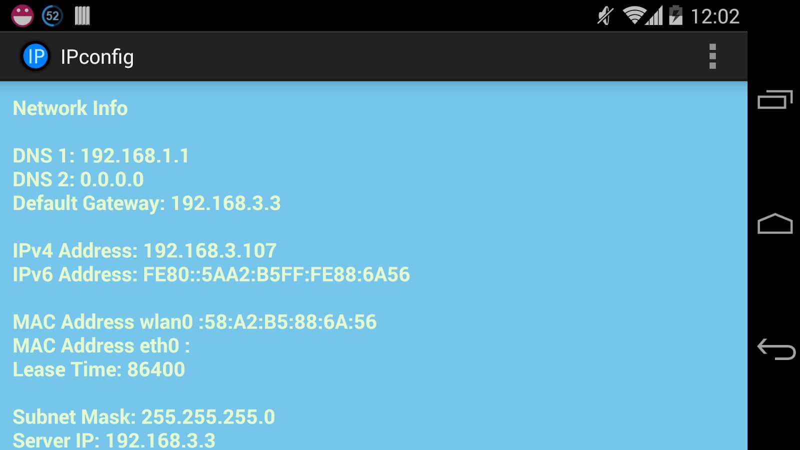 Ipconfig - Network Infor...截图2