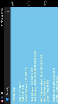 Ipconfig - Network Infor...截图