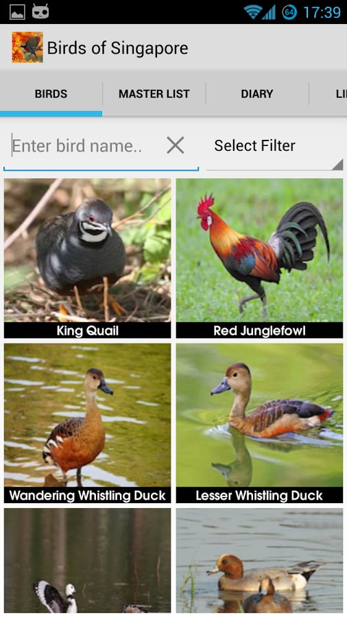 Birds of Singapore截图4