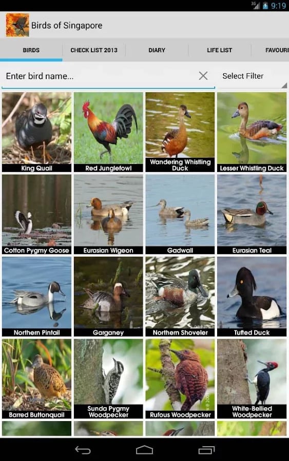 Birds of Singapore截图6