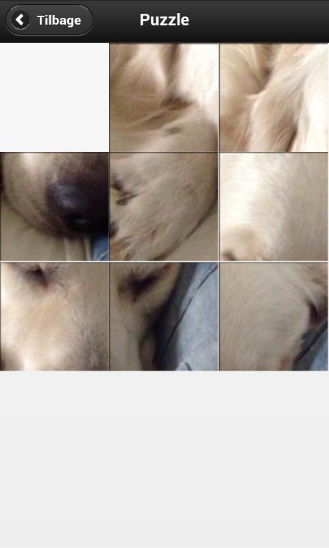 Dogs4fun截图1