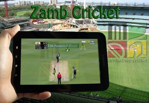 Zamb Cricket, Cricket Game截图4