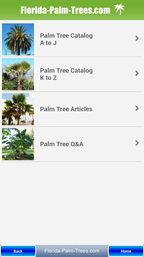 Florida Palm Trees截图1