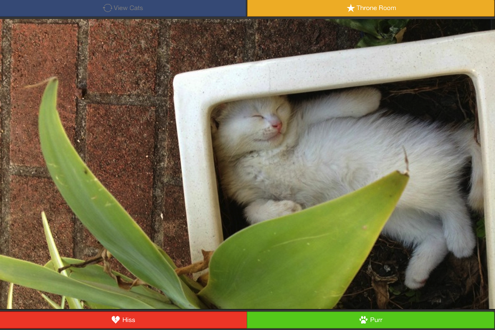 Swipurr: Find Cute Cats截图1