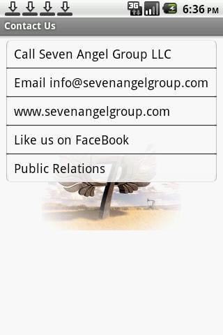 Seven Angel Group LLC截图2