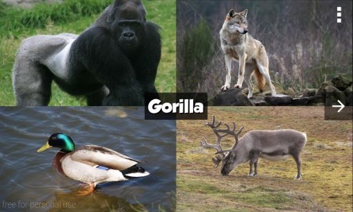 Zoo Animals Guessing Game截图2