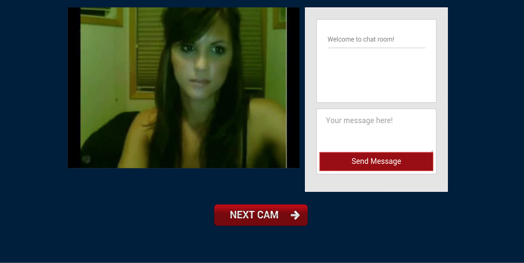 Webcams Live截图3