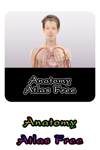 Anatomy Atlas Free截图1