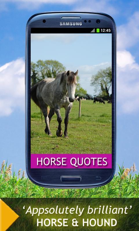 Horse Quotes And Sayings截图1