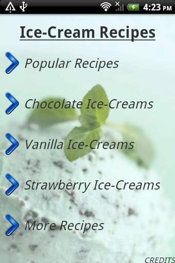 Ice-cream Recipes截图2