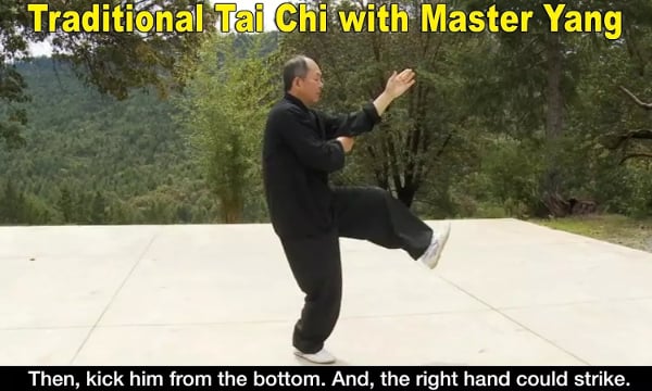 Yang Tai Chi for Beginne...截图11