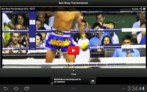 Best Muay Thai Knockouts截图6