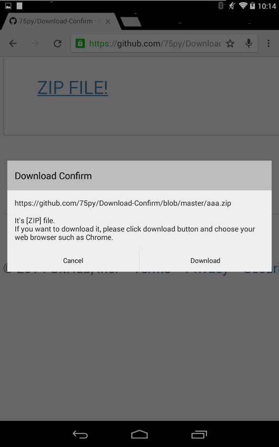 Download Confirm截图3