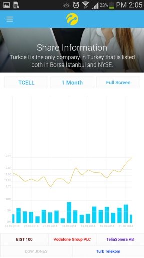 Turkcell Investor Relations截图4